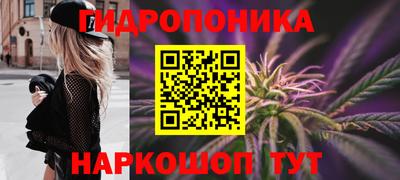 круглые Кингисепп