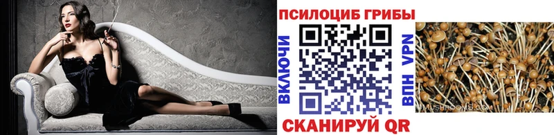 где найти наркотики  Уварово  Псилоцибиновые грибы мухоморы 