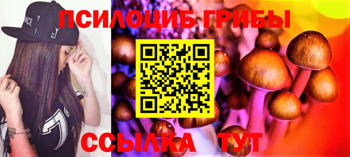 Псилоцибиновые грибы прущие грибы Уварово