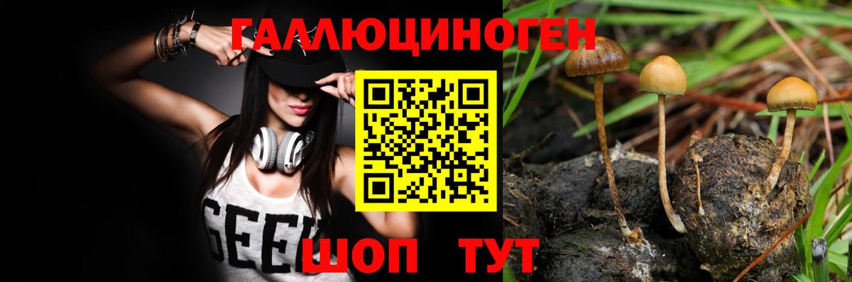Уварово  Псилоцибиновые грибы Cubensis  Галлюциногенные грибы мицелий  Вход с VPN 